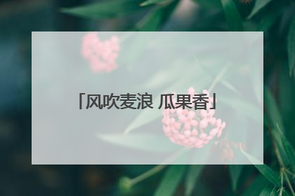 风吹麦浪 瓜果香