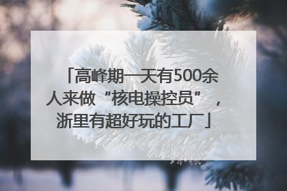 高峰期一天有500余人来做“核电操控员”，浙里有超好玩的工厂