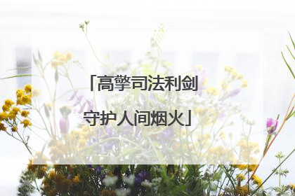 高擎司法利剑 守护人间烟火