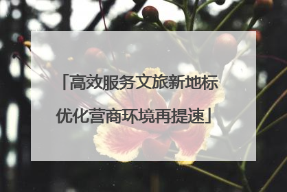 高效服务文旅新地标 优化营商环境再提速