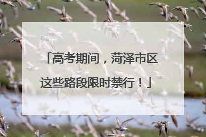 高考期间，菏泽市区这些路段限时禁行！
