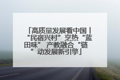 高质量发展看中国丨“民宿兴村”烹热“蓝田味” 产教融合“链”动发展新引擎