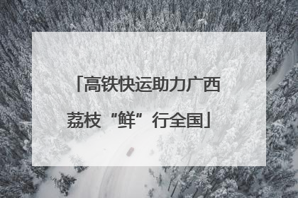 高铁快运助力广西荔枝“鲜”行全国