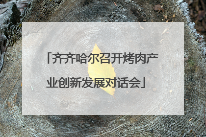 齐齐哈尔召开烤肉产业创新发展对话会