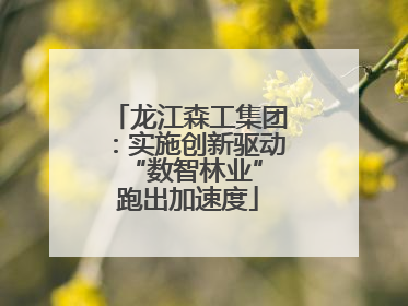 龙江森工集团：实施创新驱动 “数智林业”跑出加速度