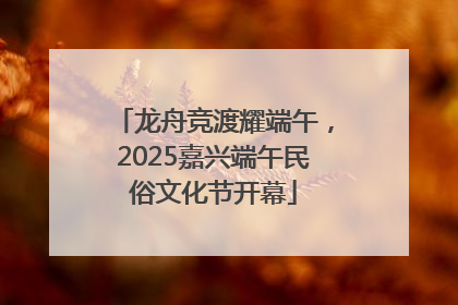 龙舟竞渡耀端午，2025嘉兴端午民俗文化节开幕
