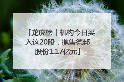 龙虎榜丨机构今日买入这20股，抛售德邦股份1.17亿元