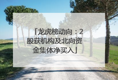 龙虎榜动向：2股获机构及北向资金集体净买入