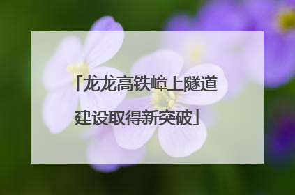 龙龙高铁嶂上隧道建设取得新突破