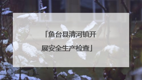 鱼台县清河镇开展安全生产检查
