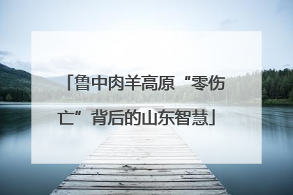 鲁中肉羊高原“零伤亡”背后的山东智慧