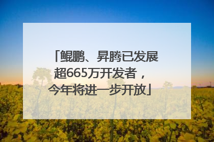 鲲鹏、昇腾已发展超665万开发者，今年将进一步开放