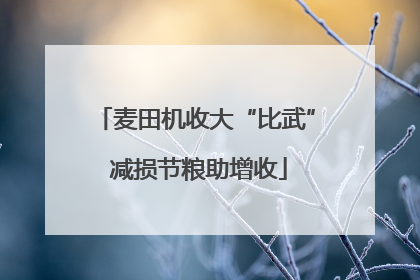 麦田机收大“比武” 减损节粮助增收