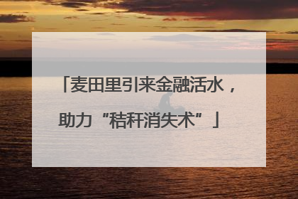 麦田里引来金融活水，助力“秸秆消失术”