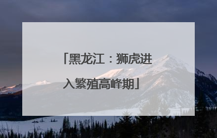 黑龙江：狮虎进入繁殖高峰期