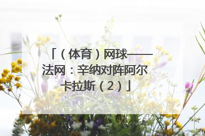（体育）网球——法网：辛纳对阵阿尔卡拉斯（2）