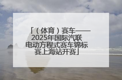 （体育）赛车——2025年国际汽联电动方程式赛车锦标赛上海站开赛