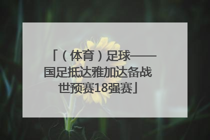 （体育）足球——国足抵达雅加达备战世预赛18强赛