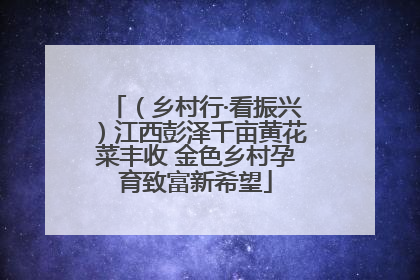 （乡村行·看振兴）江西彭泽千亩黄花菜丰收 金色乡村孕育致富新希望