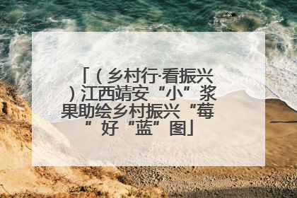 （乡村行·看振兴）江西靖安“小”浆果助绘乡村振兴“莓”好“蓝”图