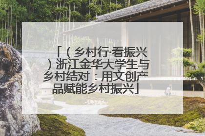 （乡村行·看振兴）浙江金华大学生与乡村结对：用文创产品赋能乡村振兴