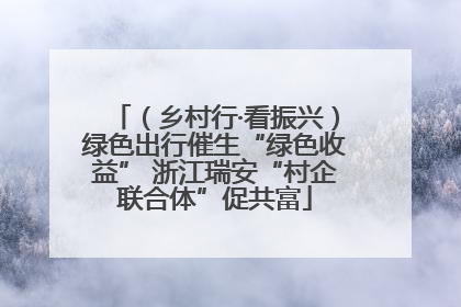 （乡村行·看振兴）绿色出行催生“绿色收益” 浙江瑞安“村企联合体”促共富