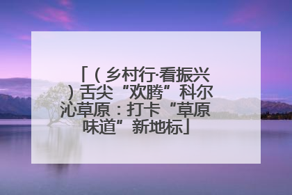（乡村行·看振兴）舌尖“欢腾”科尔沁草原：打卡“草原味道”新地标