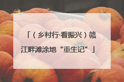 （乡村行·看振兴）赣江畔滩涂地“重生记”