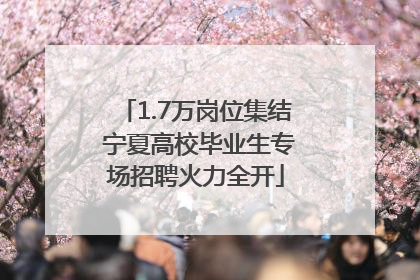 1.7万岗位集结 宁夏高校毕业生专场招聘火力全开