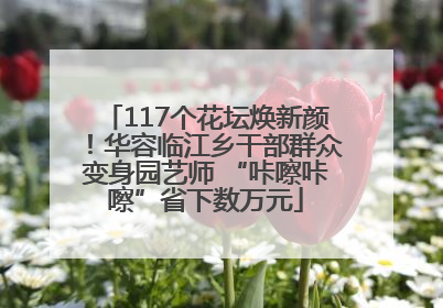117个花坛焕新颜！华容临江乡干部群众变身园艺师 “咔嚓咔嚓”省下数万元
