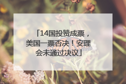 14国投赞成票，美国一票否决！安理会未通过决议