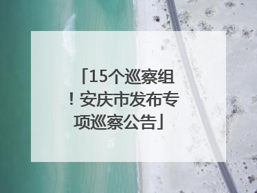 15个巡察组！安庆市发布专项巡察公告