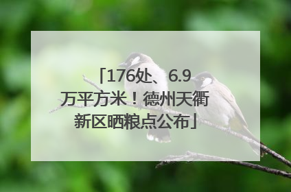 176处、6.9万平方米！德州天衢新区晒粮点公布