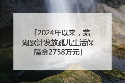 2024年以来，芜湖累计发放孤儿生活保障金2758万元