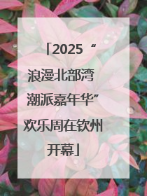 2025“浪漫北部湾 潮派嘉年华”欢乐周在钦州开幕