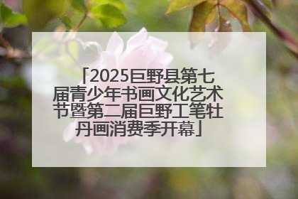 2025巨野县第七届青少年书画文化艺术节暨第二届巨野工笔牡丹画消费季开幕