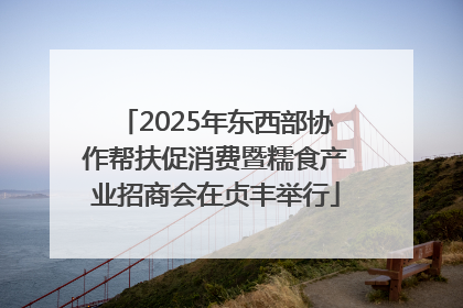 2025年东西部协作帮扶促消费暨糯食产业招商会在贞丰举行