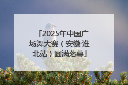 2025年中国广场舞大赛（安徽·淮北站）圆满落幕