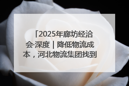 2025年廊坊经洽会·深度｜降低物流成本，河北物流集团找到一把“金钥匙”