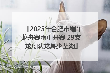 2025年合肥市端午龙舟赛雨中开赛 29支龙舟队龙舞少荃湖