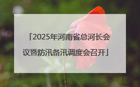 2025年河南省总河长会议暨防汛备汛调度会召开