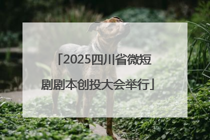 2025四川省微短剧剧本创投大会举行