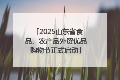 2025山东省食品、农产品外贸优品购物节正式启动