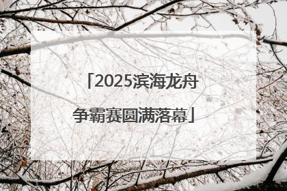 2025滨海龙舟争霸赛圆满落幕