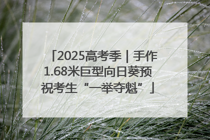 2025高考季｜手作1.68米巨型向日葵预祝考生“一举夺魁”