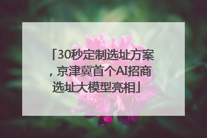30秒定制选址方案，京津冀首个AI招商选址大模型亮相