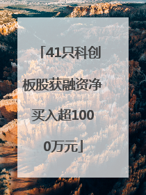 41只科创板股获融资净买入超1000万元