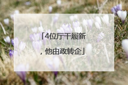 4位厅干履新，他由政转企