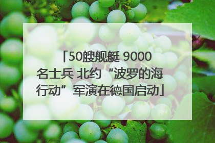 50艘舰艇 9000名士兵 北约“波罗的海行动”军演在德国启动