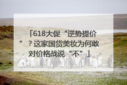 618大促“逆势提价”？这家国货美妆为何敢对价格战说“不”